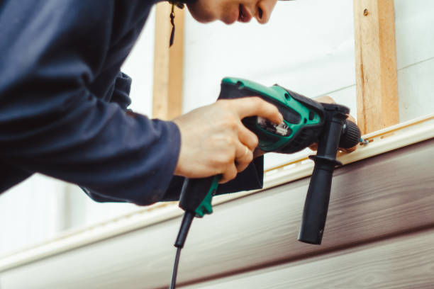 Best Custom Siding Design  in St Helen, MI